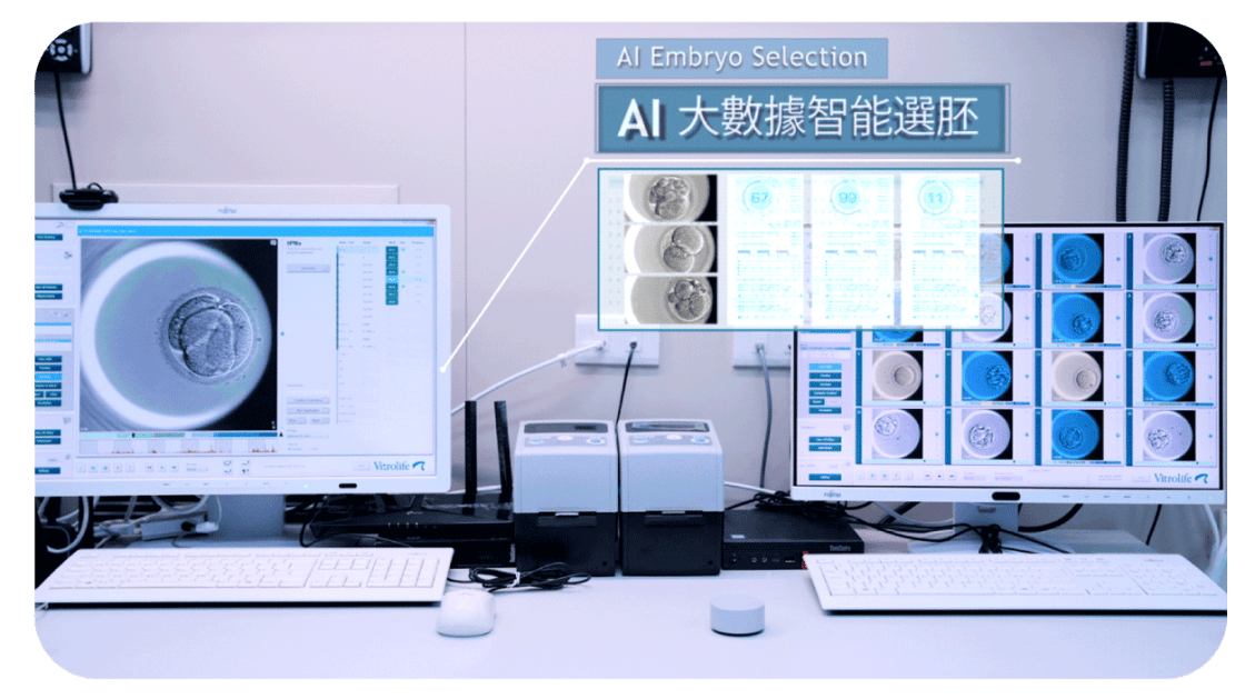 AI Embryo Selection