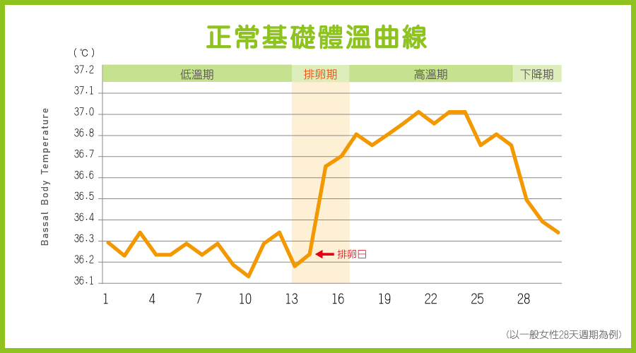 基礎體溫曲線 基礎體溫曲線