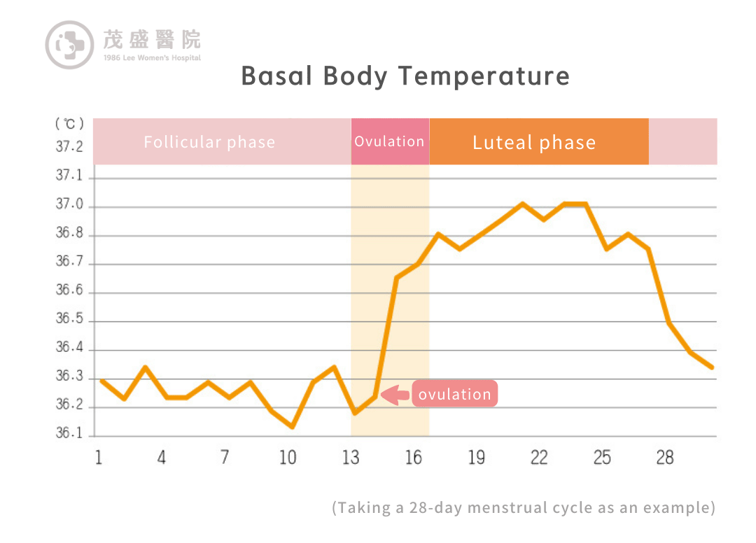 Basal Body Temperature chart