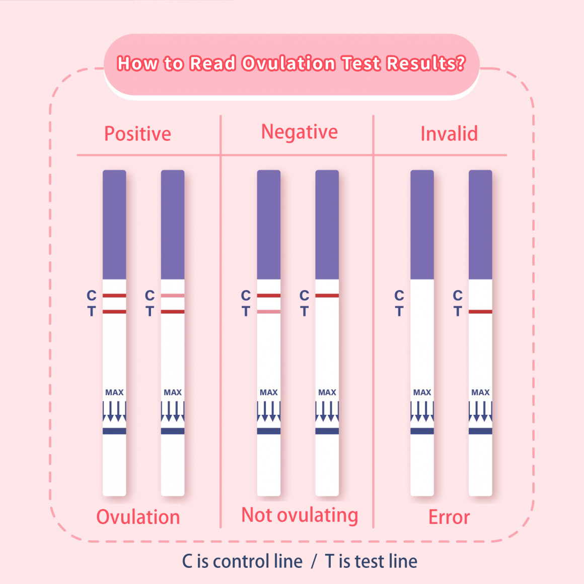 How to Read Ovulation Test Results?