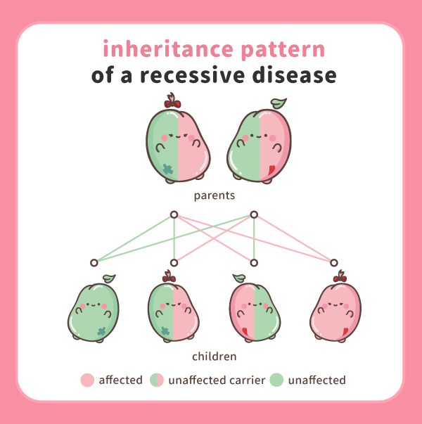 Inheritance pattern of a recessive disease