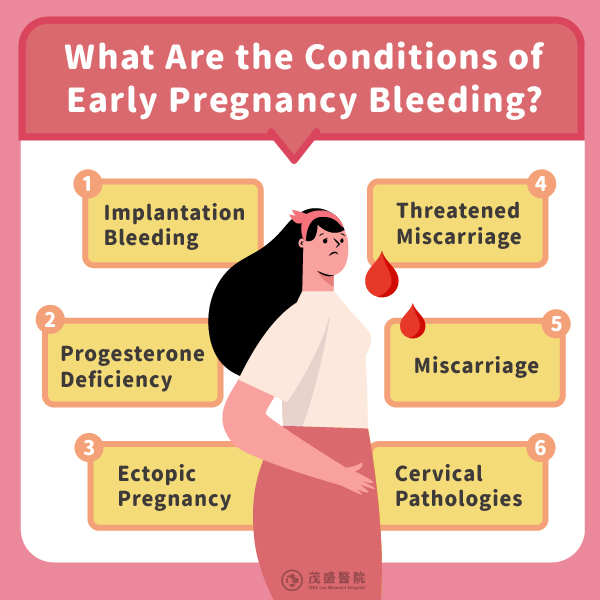 What conditions might cause early pregnancy bleeding?