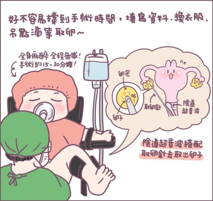 Quick Recovery After Egg Retrieval – Comic 11