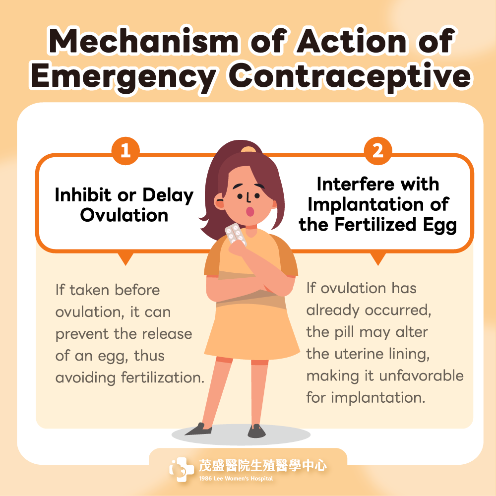 250714-事後避孕藥副作用-2