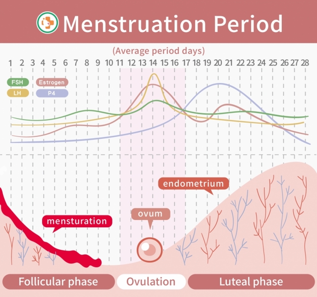 What are the symptoms of ovulation bleeding?-Lee Women's Hospital IVF Center