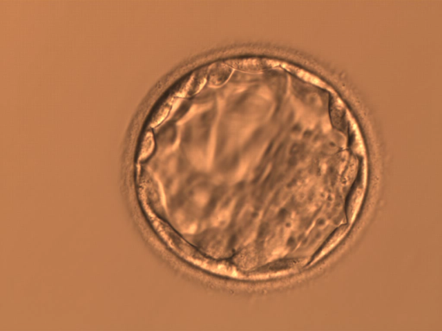 tw_catalog_list_21j01_39ysdf2mpr tw_catalog_list_21j01_39ysdf2mpr