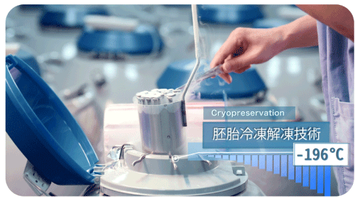 Embryo Cryopreservation Embryo Cryopreservation