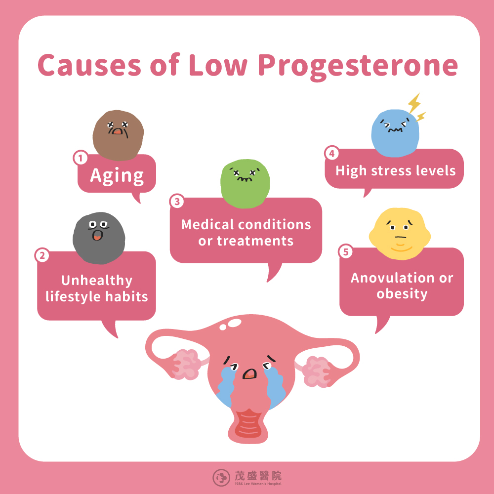 240425 五個黃體素不足的原因 Causes of Low Progesterone
